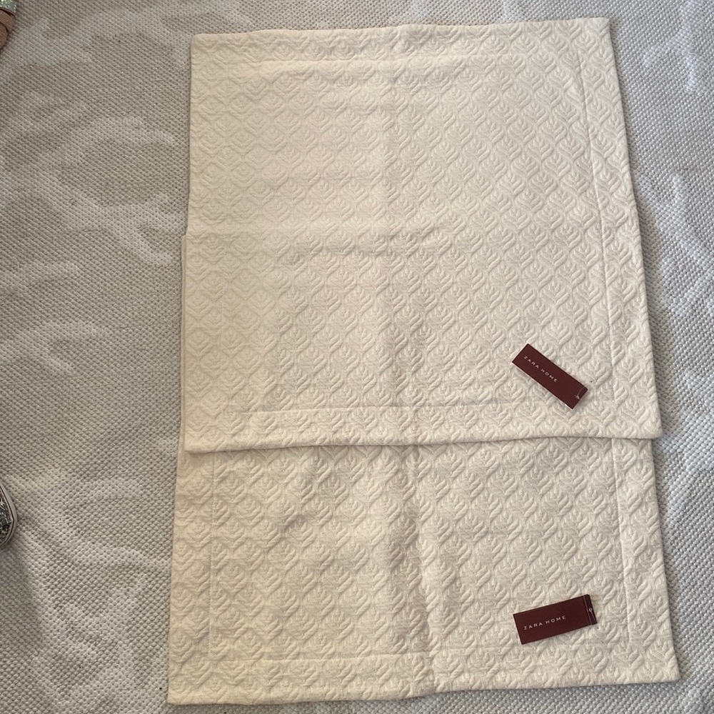 Pair of Zara Home European shams